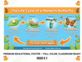 An educational poster titled 'The Life Cycle of a Monarch Butterfly' showing four illustrated stages: egg, caterpillar, chrysalis, and butterfly, with descriptive text on a bright blue background. The poster includes decorative orange and green accents and is presented on a white page with black text at the bottom reading 'PREMIUM EDUCATIONAL POSTER — FULL-COLOR, CLASSROOM READY GRADE K-2'.